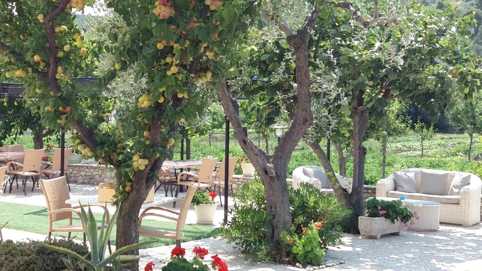 Il Gelso Bianco Hotel Vieste Kültér fotó